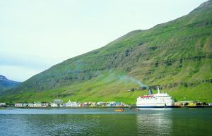 Norrna v pstavu Seydisfjorur na Islandu