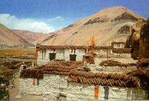 Malebn tibetsk vesnika. Na zdkch se su ja trus.